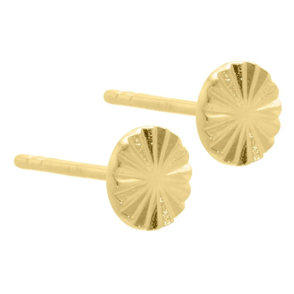 Aqua Dulce - Line Coin Øreringe - 4119