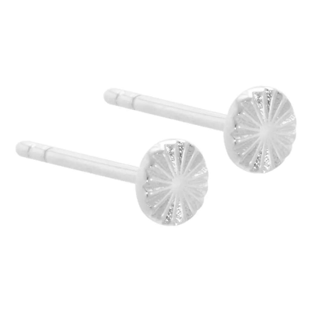 Aqua Dulce - Line Coin Øreringe - 4116