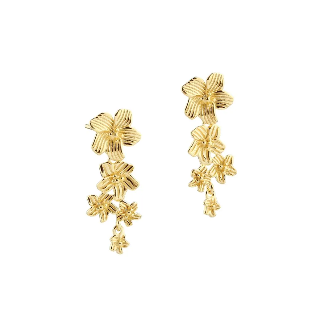 Aqua Dulce Jasmin Big ørestikker i forgyldt sølv til kvinder