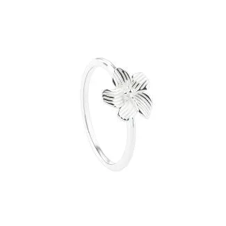 Aqua Dulce Jasmin Ring - 5899 sølvring til kvinder